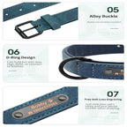 Comfort-First Custom Leather Dog Collar