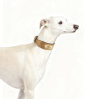 Custom Engraved Anti-Loss Leather Collar