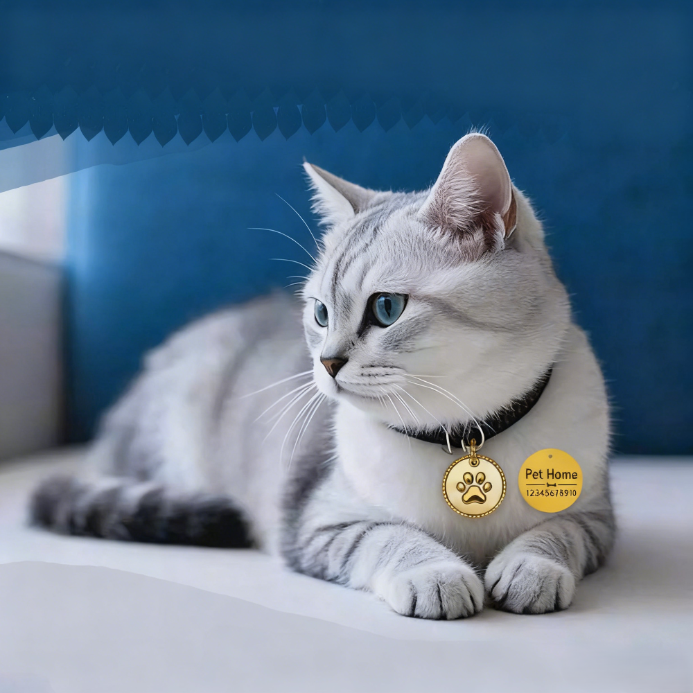 Premium Creative Pet ID Tag - Gold Shell Inlaid, Custom Engraved Anti-Lost, Personalized Jewelry for Cats & Dogs