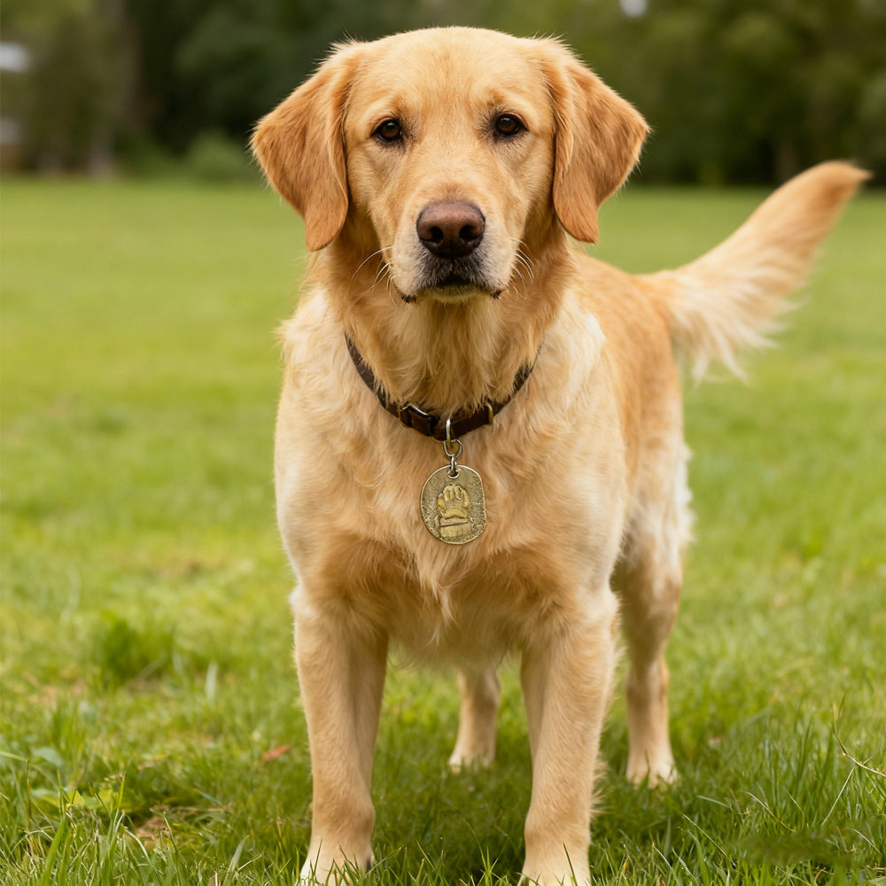 Vintage Brass Round Pet ID Tag - Customizable Paw Print Identity Tag for Lost Prevention