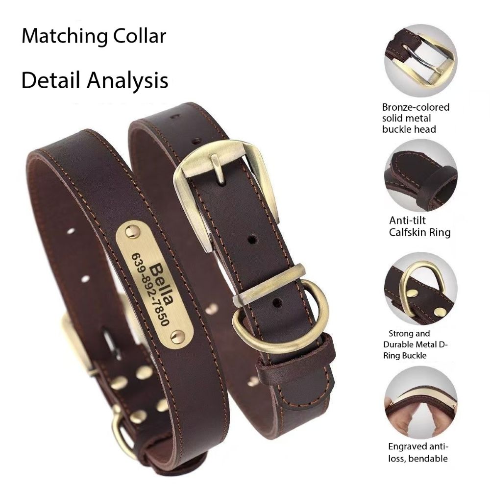 Genuine Leather Dog Collar & Leash Set (Golden Retriever)