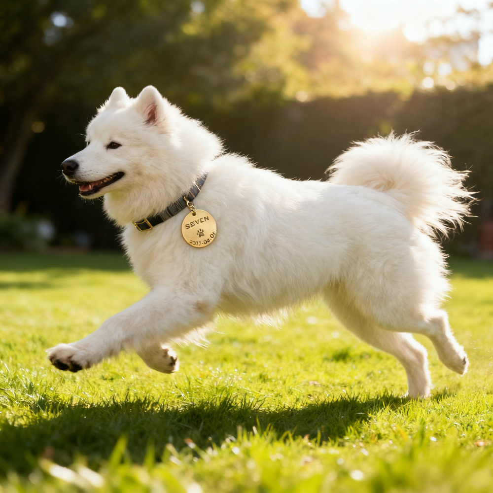 Custom Brass Pet Memorial Tag – Personalized Name & Date Engraved Keepsake for Dogs/Cats