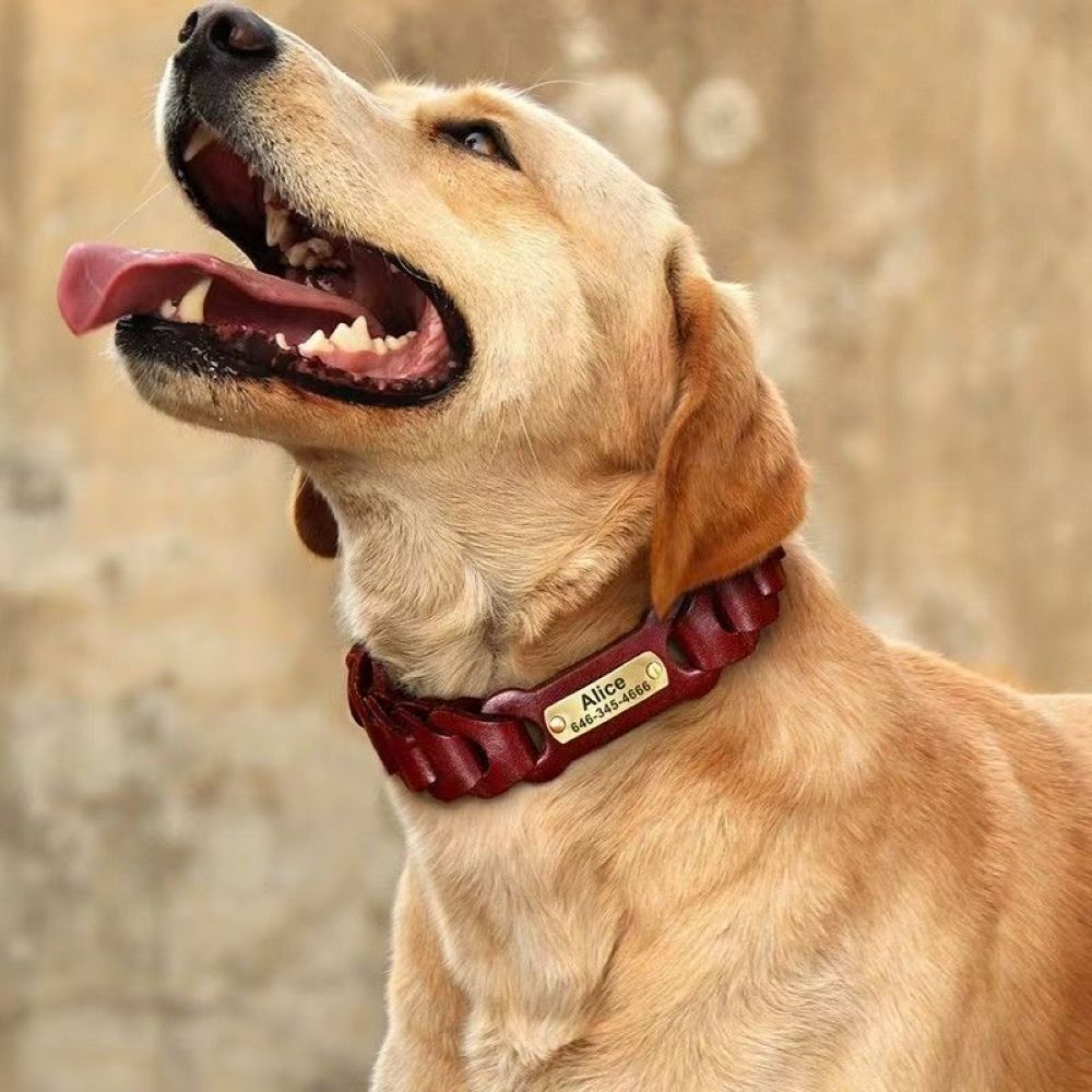 Genuine Leather Dog Collar & Leash Set