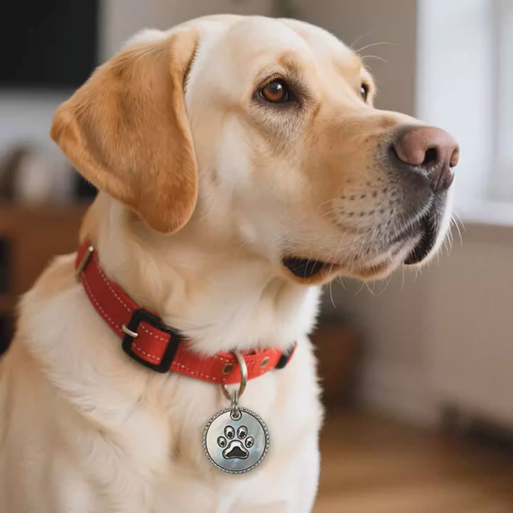Premium Creative Pet ID Tag - Gold Shell Inlaid, Custom Engraved Anti-Lost, Personalized Jewelry for Cats & Dogs