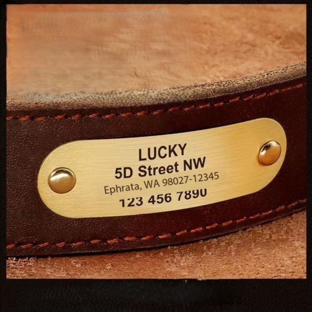 Genuine Leather Dog Collar & Leash Set (Golden Retriever)