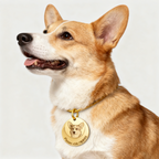 Customizable Double-Layer Pure Copper Pet Tag – Engrave Pet Portrait and Owner Contact Information