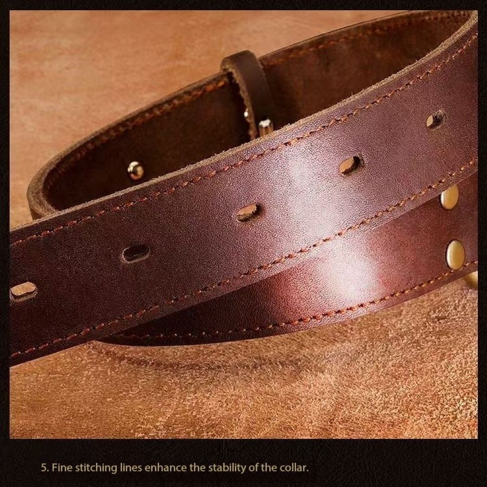 Genuine Leather Dog Collar & Leash Set (Golden Retriever)