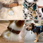 Customizable Double-Layer Pure Copper Pet Tag – Engrave Pet Portrait and Owner Contact Information