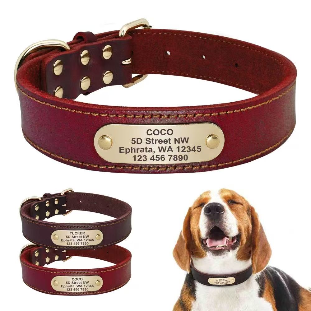 Genuine Leather Dog Collar & Leash Set (Golden Retriever)