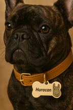 Personalized Solid Brass Bone Dog Tag