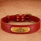 Full-Grain Leather Pet Collar