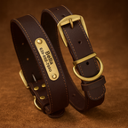 Genuine Leather Dog Collar & Leash Set (Golden Retriever)
