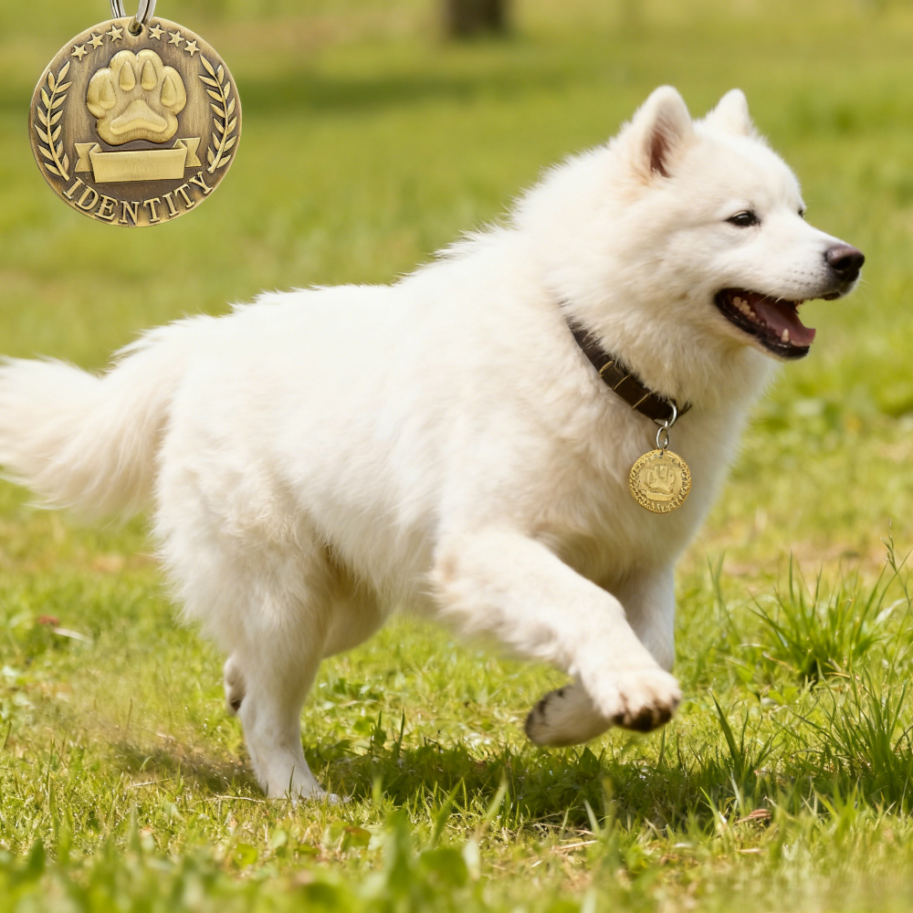 Vintage Brass Round Pet ID Tag - Customizable Paw Print Identity Tag for Lost Prevention